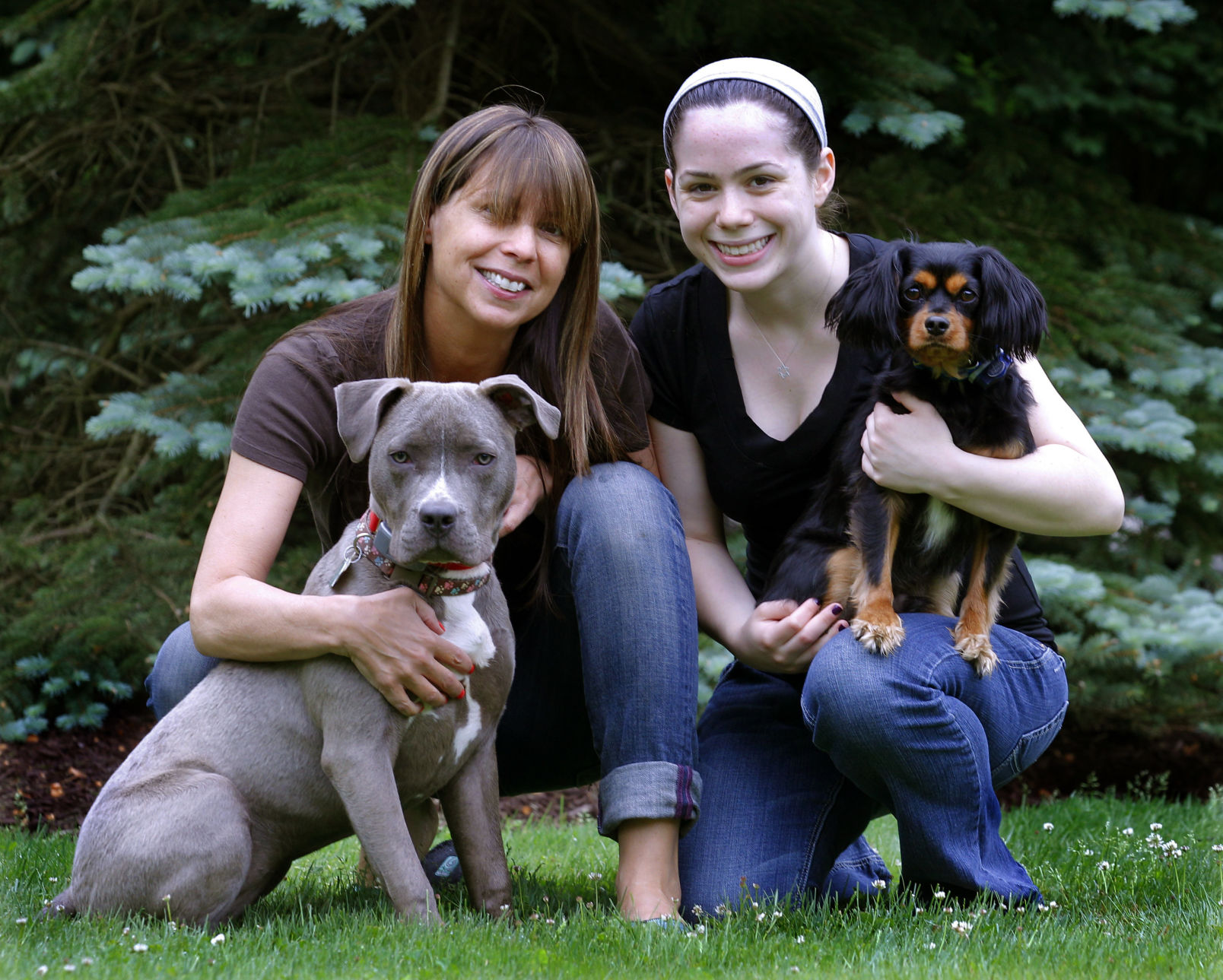 Dogs